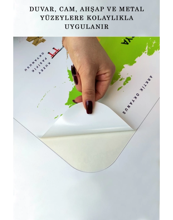 Eğitici - Öğretici Dünya ve Türkiye Haritası Çocuk Odası Duvar Sticker-60x105-3884