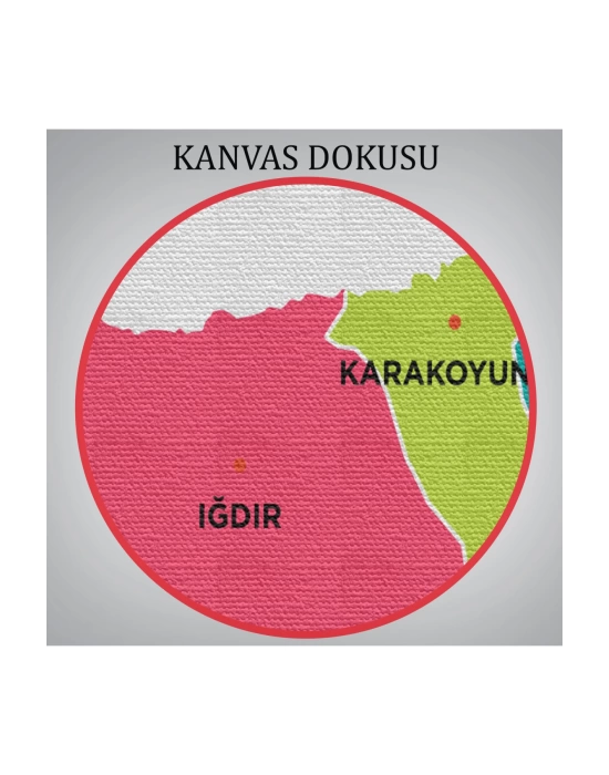 Iğdır  İli ve İlçeler Haritası  Dekoratif Kanvas Tablo 1357