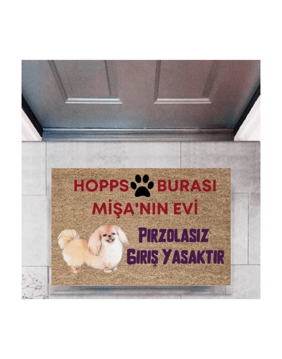 Kapı Önü Paspası Dekoratif Dijital Baskı Hopps  P-2474