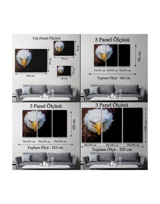 Kartal  Dekoratif Kanvas Tablo 1132