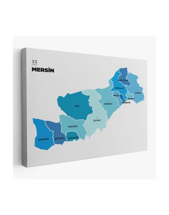Mersin İli ve İlçeler Haritası  Dekoratif Kanvas Tablo 1420