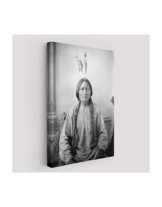 Oturan Boğa Tablosu, Amerikaya Karşı Savaşan Son Kızılderili Kabile Şefi, Sitting Bull-6416