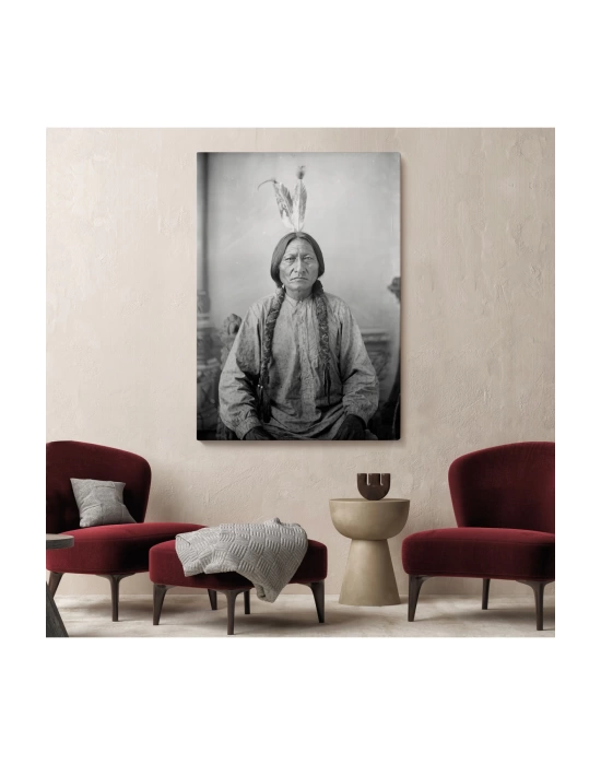 Oturan Boğa Tablosu, Amerikaya Karşı Savaşan Son Kızılderili Kabile Şefi, Sitting Bull-6416