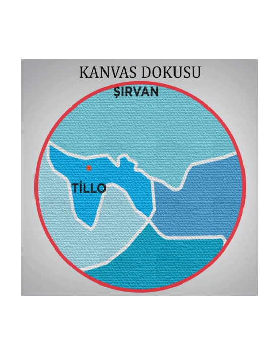 Siirt İli ve İlçeler Haritası  Dekoratif Kanvas Tablo 1450