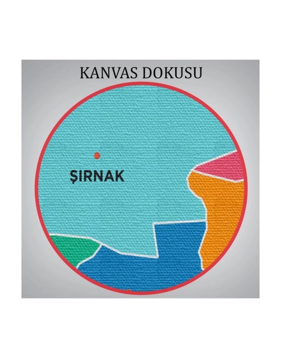 Şırnak İli ve İlçeler Haritası  Dekoratif Kanvas Tablo 1460