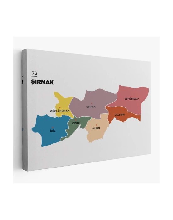 Şırnak İli ve İlçeler Haritası  Dekoratif Kanvas Tablo 1461