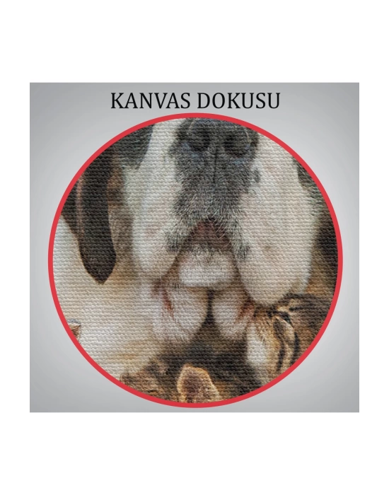 St. Bernard  Köpek ve Yavru Kediler Dekoratif Kanvas Tablo 1124