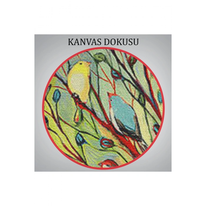27 Kuş Tablosu - 27 Birds-6654