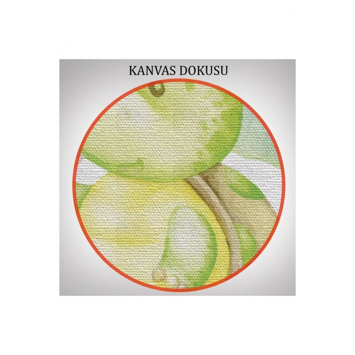 3’lü Tablo Sevimli Üç Hayvan Koleksiyonu Dekoratif Duvar Tablo Seti-CC-53