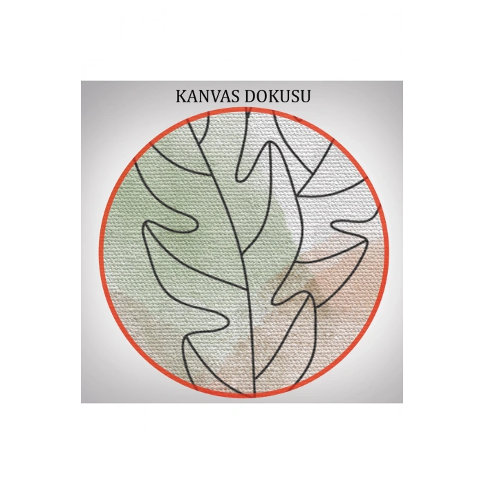 3’lü Tablo Suluboya Bitki Şekilleri Dekoratif Şık ve Modern Duvar Tablo Seti-BD-29