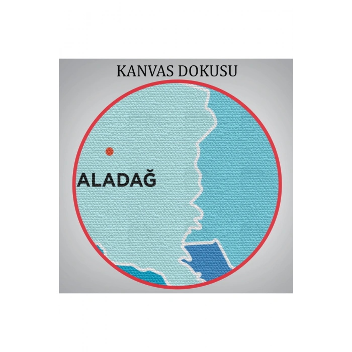 Adana İli ve İlçeler Haritası  Dekoratif Kanvas Tablo 1247