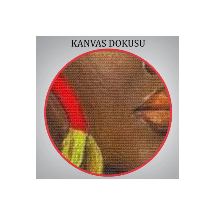 Afro Amerikalı Güzel Kadın Duvar Tablosu-6371