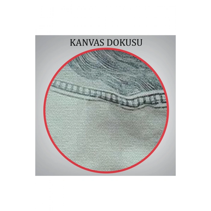 Ağzın da Dolar Olan Kadın Duvar Tablosu-6260