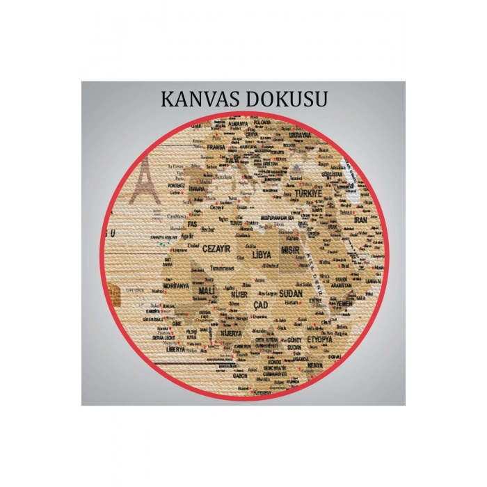 Ahşap Görünümlü Türkçe Dünya Haritası Sembollü Eğitici Kanvas Tablo 2945