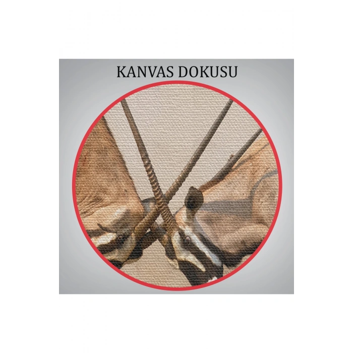 Antilob Dekoratif Kanvas Tablo-1117
