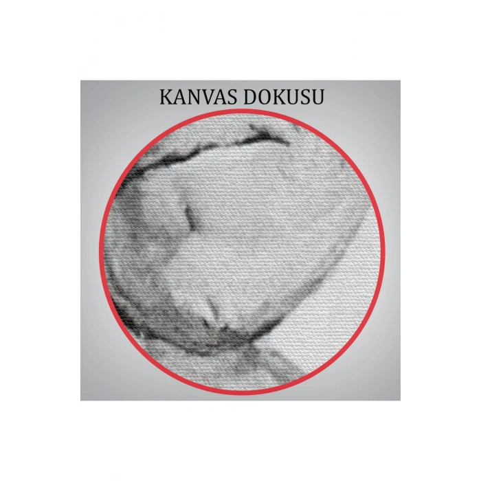 Arthur Schopenhauer Tablosu -6266