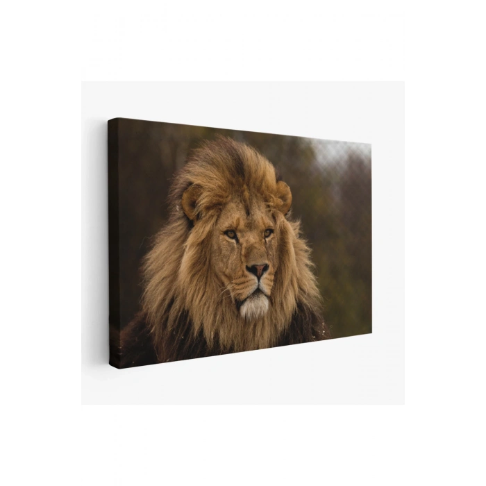 Aslan Dekoratif Kanvas Tablo 1159