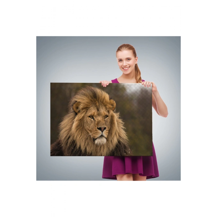 Aslan Dekoratif Kanvas Tablo 1159