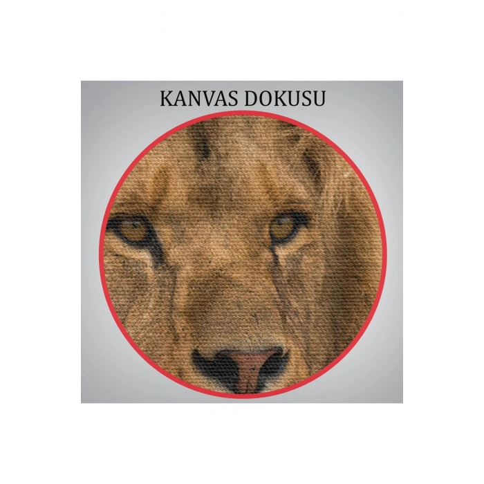 Aslan Dekoratif Kanvas Tablo 1159