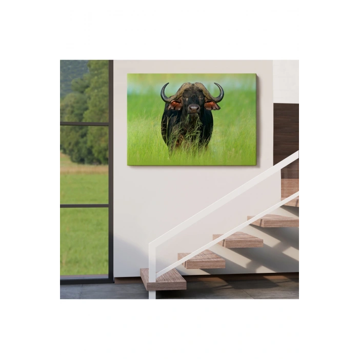 Asya Mandası Duvar Tablosu-6511