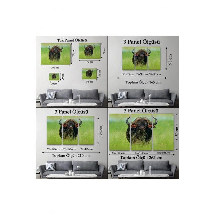 Asya Mandası Duvar Tablosu-6511