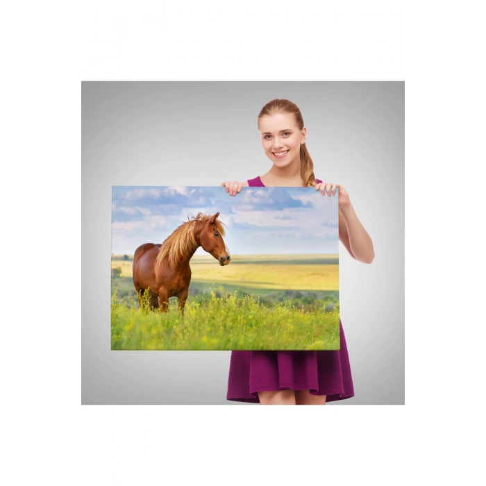 At Ve Manzaralı  Dekoratif Kanvas Tablo 1131