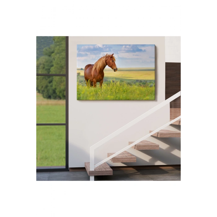 At Ve Manzaralı  Dekoratif Kanvas Tablo 1131