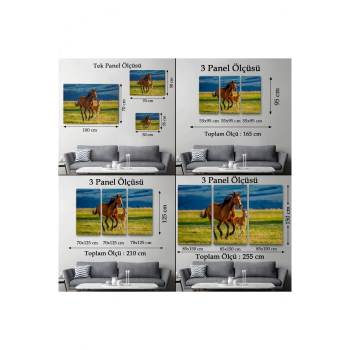 At ve Tay Manzaralı Dekoratif Kanvas Tablo 1173