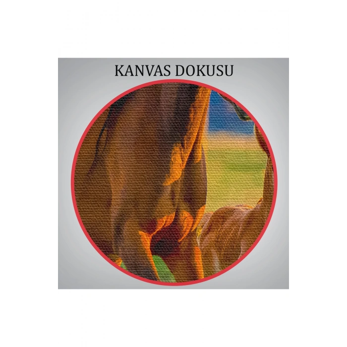 At ve Tay Manzaralı Dekoratif Kanvas Tablo 1173