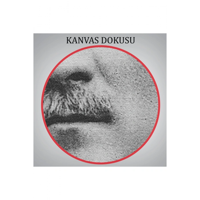 Atatürk Portre Tablosu Mustafa Kemal Atatürk Dikdörtgen Dekoratif Kanvas Tablo-CJ-60