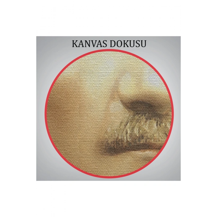 Atatürk Portre Tablosu Mustafa Kemal Atatürk Dikdörtgen Dekoratif Kanvas Tablo-CK-61
