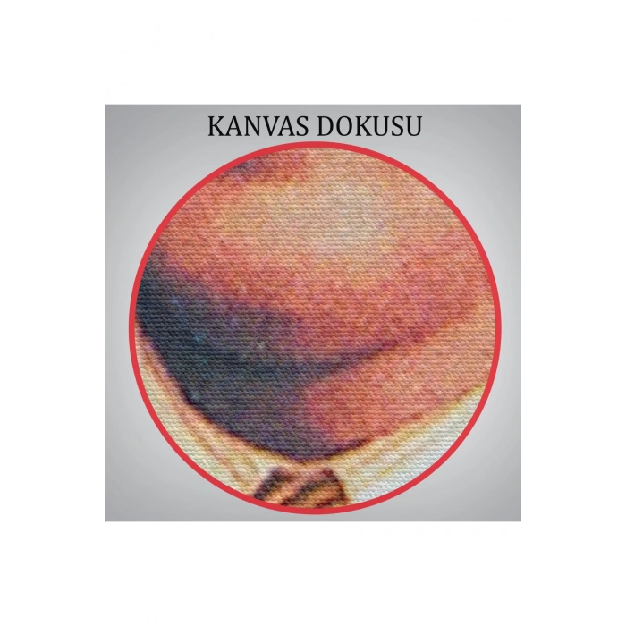 Atatürk Portre Tablosu Mustafa Kemal Atatürk Dikdörtgen Dekoratif Kanvas Tablo-CS-69