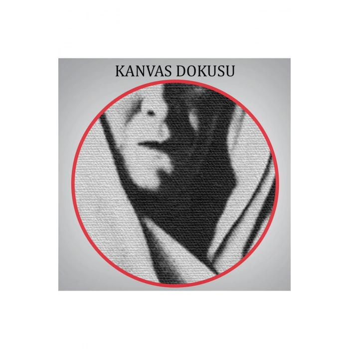 Atatürk Portre Tablosu Mustafa Kemal Atatürk Dikdörtgen Dekoratif Kanvas Tablo-FL-136