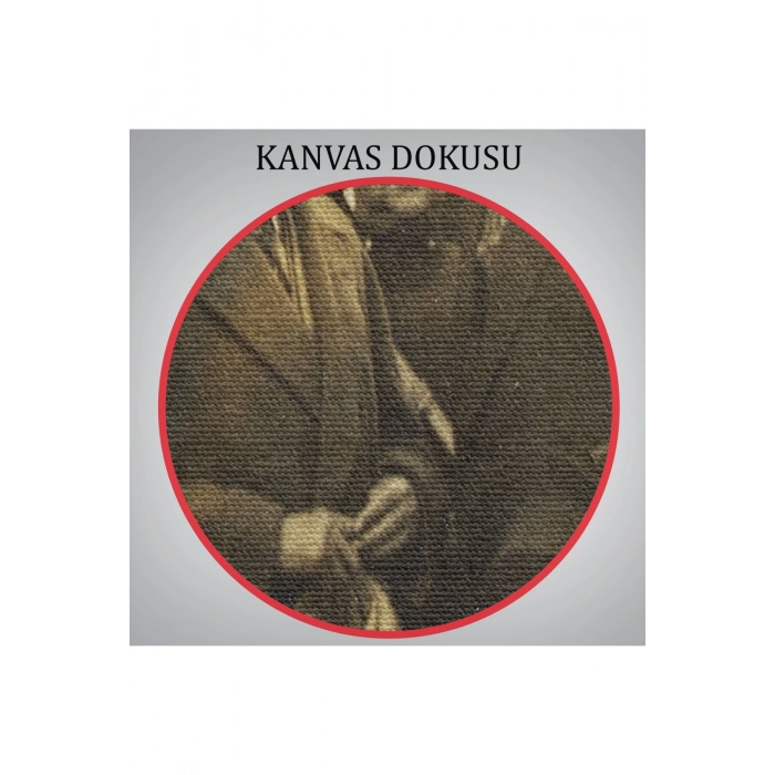 Atatürkün Anadoluyu Ziyareti Mustafa Kemal Atatürk Dikdörtgen Dekoratif Kanvas Tablo-CÜ-74