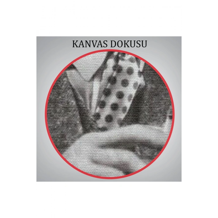 Atatürkün Doğu Ekspresinde Fotoğrafı Duvar Tablosu-6222