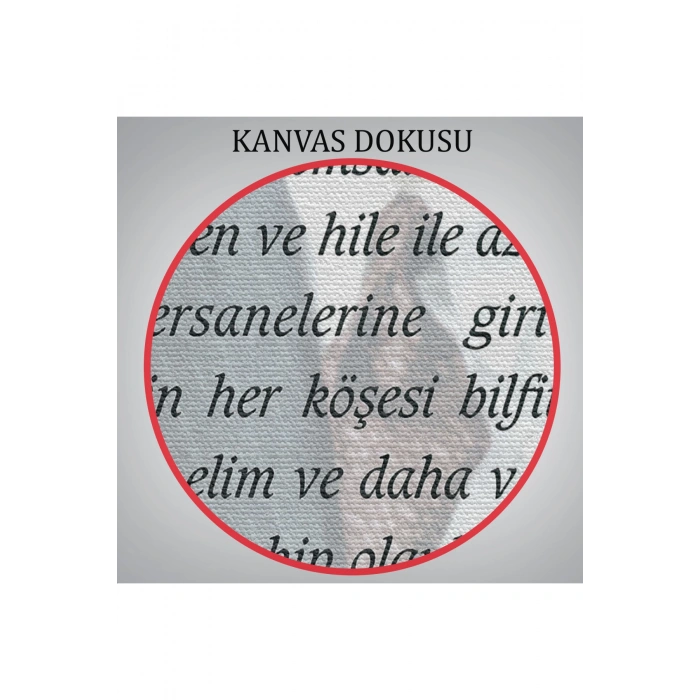 Atatürkün Gençliğe Hitabesi  Duvar Tablosu-6465