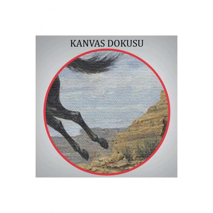 Atı Yakalamaya Çalışan Kavboy Tablosu-6537