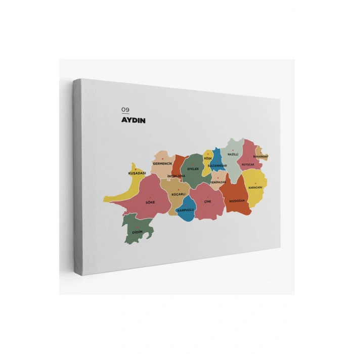 Aydın İli ve İlçeler Haritası  Dekoratif Kanvas Tablo 1277