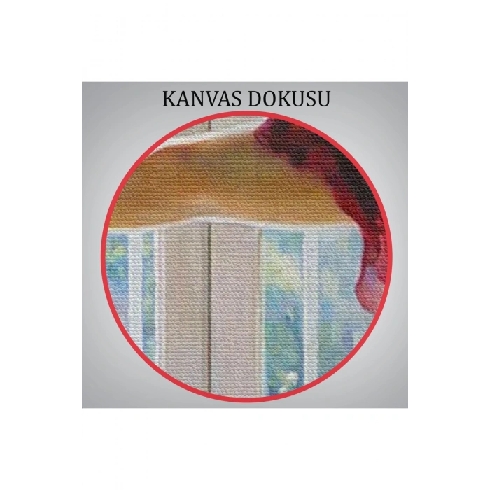 Bale Yapan Dansçı Kadın Duvar Tablosu-6428