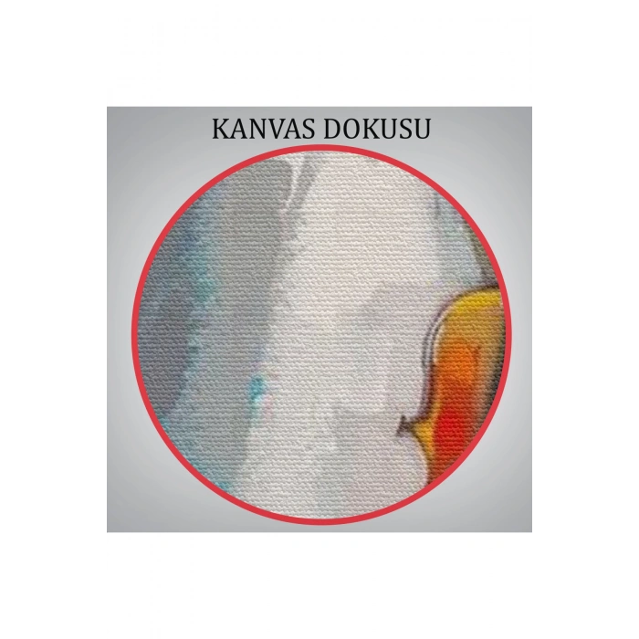 Beyaz Elbiseli Kemani Kadın Duvar Tablosu-6380