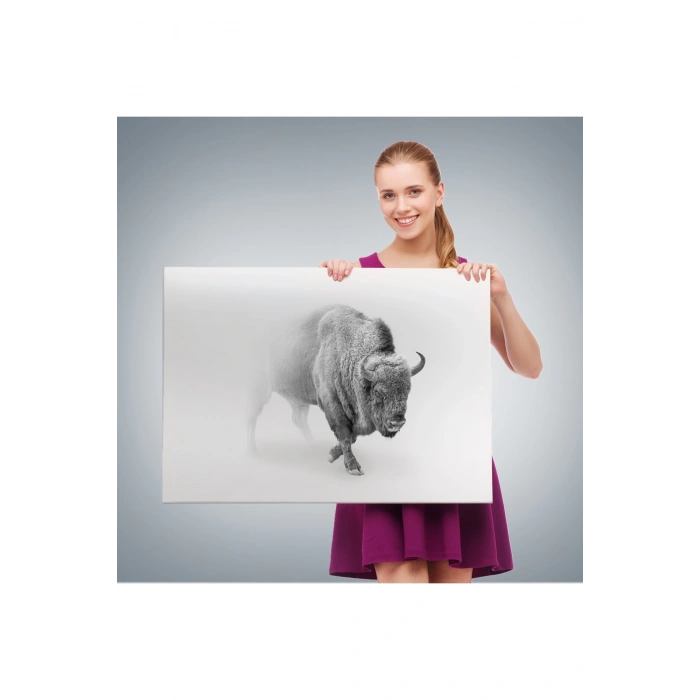 Bizon  Dekoratif Kanvas Tablo 1160