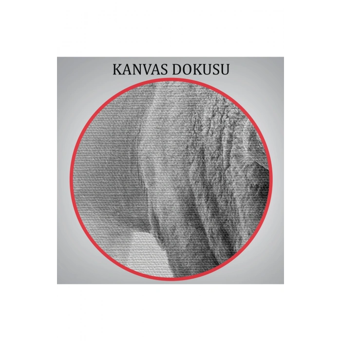 Bizon  Dekoratif Kanvas Tablo 1160