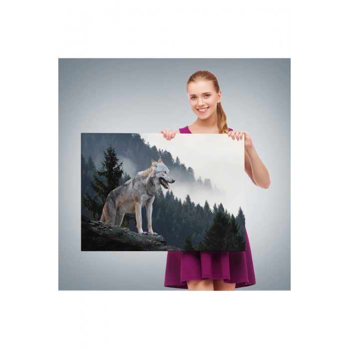 Bozkurt Dekoratif Kanvas Tablo 1148