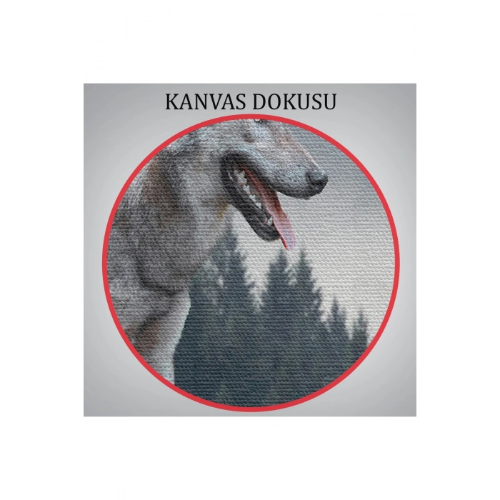 Bozkurt Dekoratif Kanvas Tablo 1148