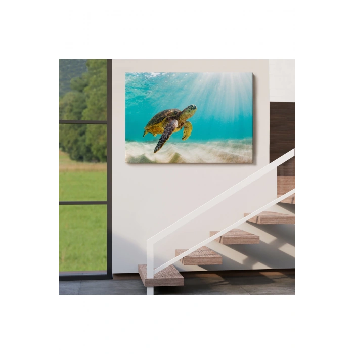 Caretta Caretta Dekoratif Kanvas Tablo 1174