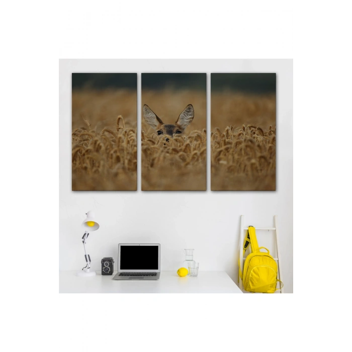 Ceylan Dekoratif Kanvas Tablo 1145