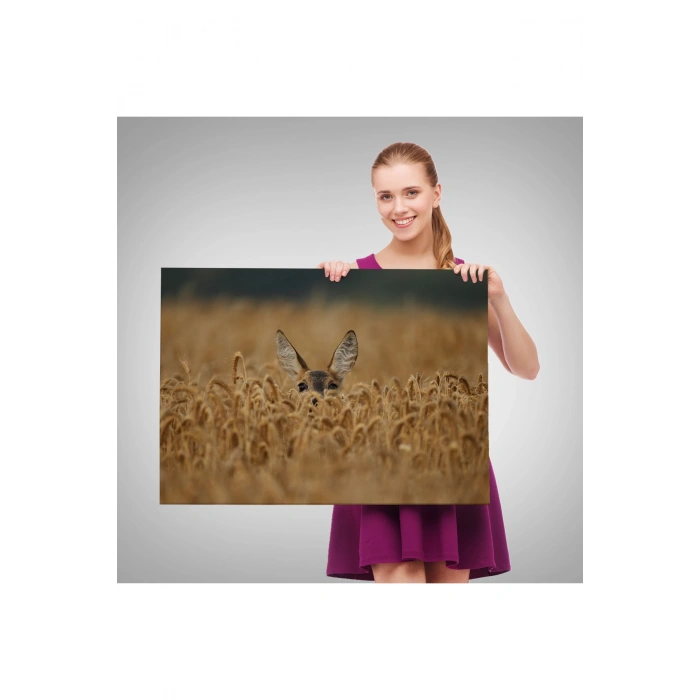 Ceylan Dekoratif Kanvas Tablo 1145