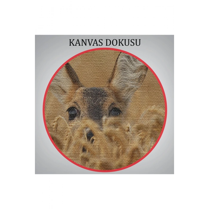 Ceylan Dekoratif Kanvas Tablo 1145