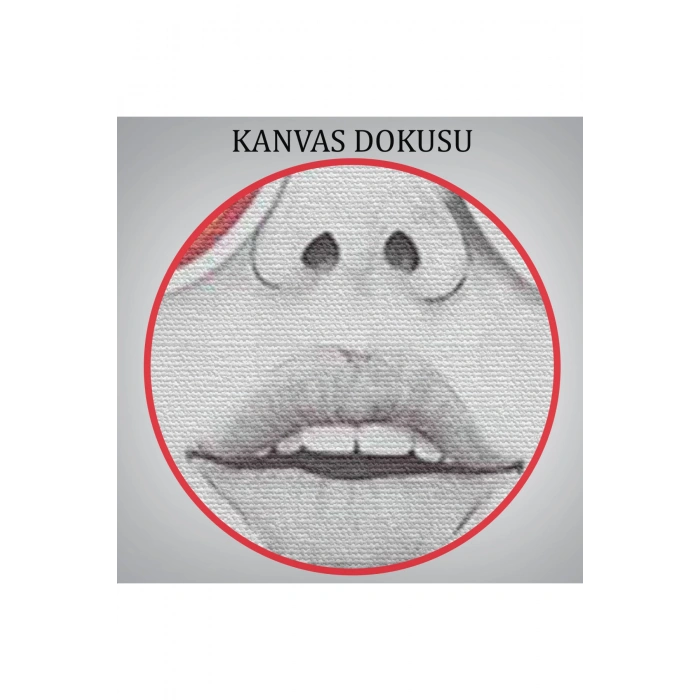 Çiçekler Saçan Optimist Kadın Tablosu-6269