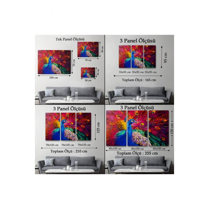 Çok Renkli Tavus Kuşu Modern Sanat Kanvas Duvar Tablosu-1112